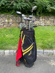 Gold Club Set And Cobra Golf Bag