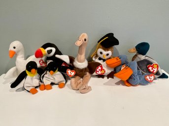 TY Beanie Babies - Birds Of A Feather Flock Together - With Tags
