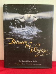Between The Wingtips Book #65