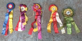 Lot Of Vintage First Place / Champion Horse Show / Racing Ribbons