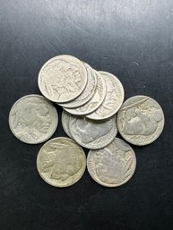 10 Miscellaneous Buffalo Nickels