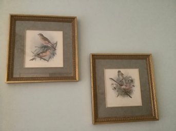 Pair Of Bird Prints