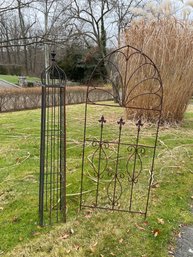 Wrought Iron Trellis And Obelisk Plant Cage