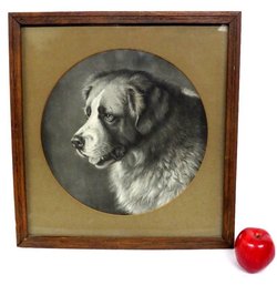 Early 20th C. Litho Of A St. Bernard Named Bayard, Originally Painted By British Artist Edwin Landseer