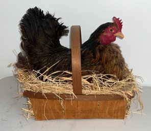 Incredible Chicken Hen Taxidermy In Basket