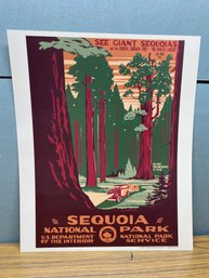 SEQUOIA NATIONAL PARK TULARE COUNTY, CALIFORNIA PRINT. 13 3/8' X 16 1/4'. Perfect For Framing And Enjoying.