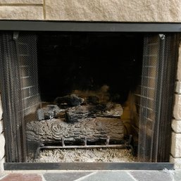 A Gas Fireplace Insert - Lower Level