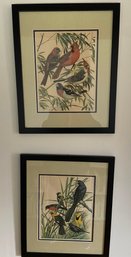 Pair Of Framed Bird Prints