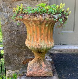 A Gorgeous Terra Cotta Neoclassical Garden Urn With Live Foliage