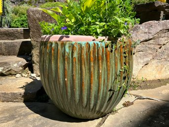 A Large Glazed Terra Cotta Planter By Campania - And Live Foliage!