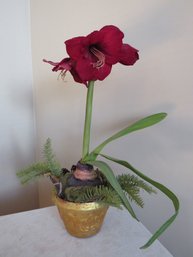 Faux Amaryllis Plant In Gold Pot 24' Tall