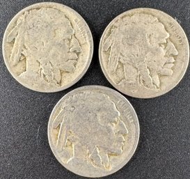 3 Buffalo Nickels 1929, 1929-D, 1929-S