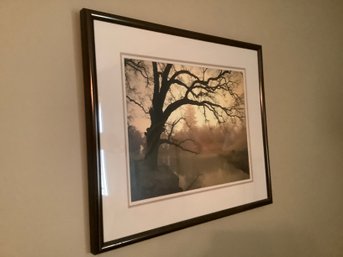 Custom Framed Tree Print