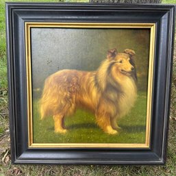 Beautiful Framed Collie Oil Painting Signed ~ Louis ~