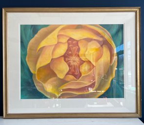 Large Pastel, My Peony By Former Local Artist Jane Cunha