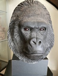 Fantastic Life-size Painted Terra Cotta Silverback Gorilla Sculpture- Lifelike With Glass Eyes- Artist Signed