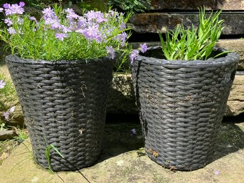 A Pair Of Acrylic Planters With Live Foliage