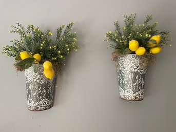 Set Of Lemon Plant Hanging Pots