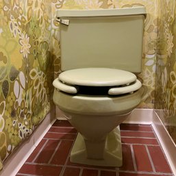 An Oh-So-Mod Eljer Avocado Toilet - Pool Bathroom