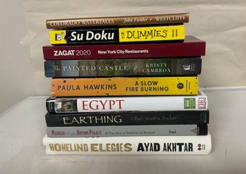 Lot Of 9 Books - Homeland Elegies Ayad Akhtar, Murder Brown Palace, Earthing, The Painted Castle  212/D2