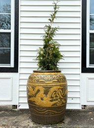 A Large Chinese Urn With Live Tree