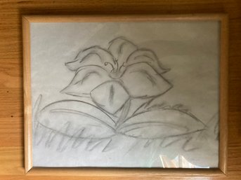 Original Charcoal On Paper Of A Flower Framed By Megan Spaniol