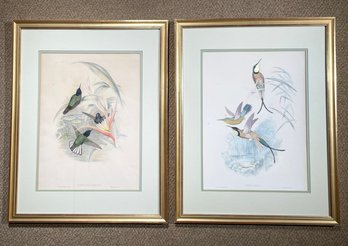 A Pair Of Vintage Ornithological Prints