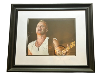 Sting Signed Autograph, Framed