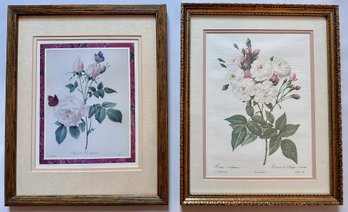 2 Antique Botanical Prints, One French, In Gilded Frames