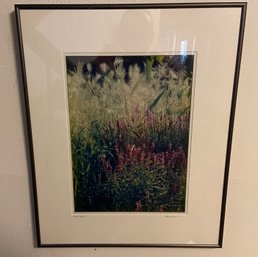 Framed Photo Print 'Glory Be!' By Lois Brennan