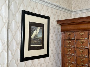 'Snowy Heron Or White Egret' Framed Print