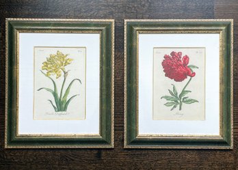 A Pair Of Vintage Botanical Prints