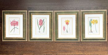 A Series Of Four Vintage Botanical Prints