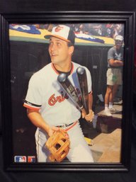 Cal Ripken Jr. Framed 8x10 Picture - M