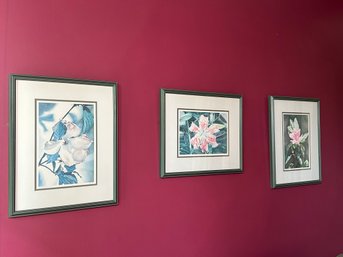 'Amaryllis Elegance', 'Pink Dogwood' And 'Rhododendron Royalty'  Framed Prints