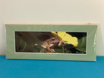 TREE FROG SIGNED PRINT