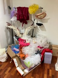 A Large Collection Of Kids' Dance Recital Costumes