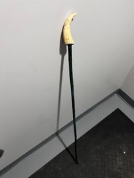 Walking Stick