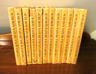 Audubon Complete Set Of Nature Books