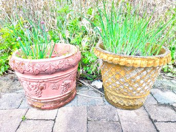 A Pair Of Outdoor Planters