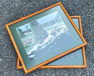 A Pair Of Fine Wood Frames And Mattes