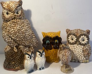 Owl Lot