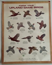 Know Your Upland Game Birds Poster