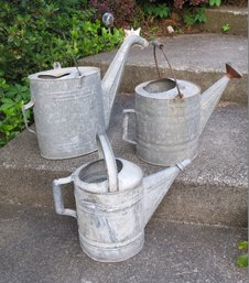 Trio Of Vintage Galvanized Garden Watering Cans