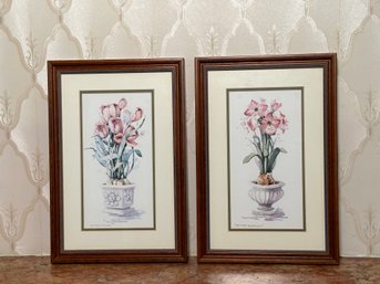 'Potted Tulips' & 'Potted Amarylis' Framed Prints
