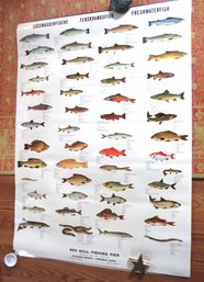Copenhagan Denmark Virginia Beach Freshwater Fish Laminate Poster