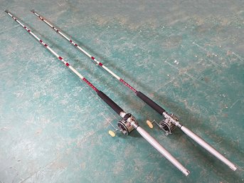 A Pair Of Penn Senator II Fishing Rods