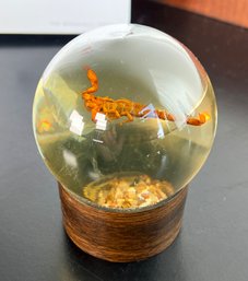 Vintage 1970's Scorpion In Lucite Globe Desk Object / Paperweight