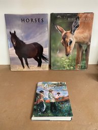 Beautiful Large Coffee Table Books Horse And Baby Animals 17x24 Impressionists Retrospective 10x13