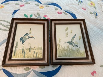 Set Of 2 Eckleberry Duck Prints